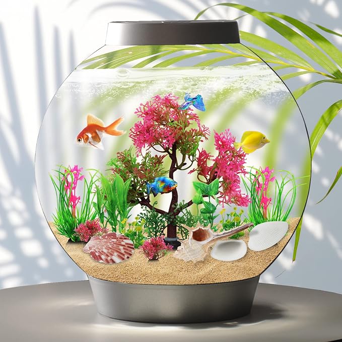 Aquarium Plants with Natural Decorations Shells - Image 4