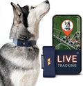 PAJ GPS Dog Tracker - 4G Real-Time Tracking & Runaway Alerts - Waterproof by PAJGPS