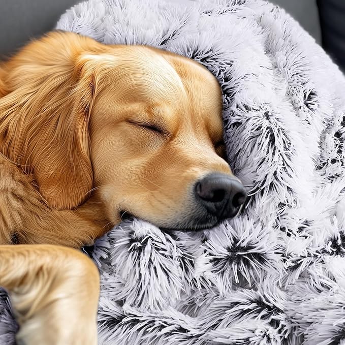 Luciphia Large Waterproof Dog Blanket - Image 8