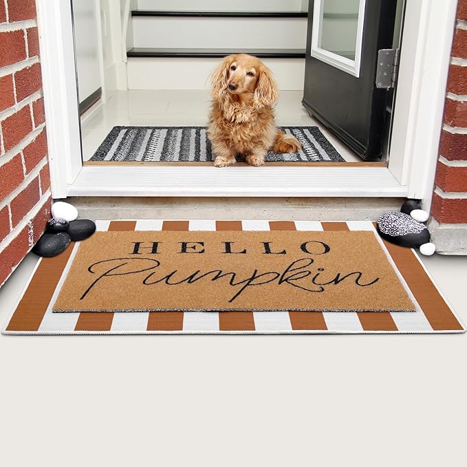 Tinideya 2 Pcs Fall Door Mat Thanksgiving Hello Pumpkin Welcome Non Slip Coir - Image 5