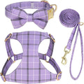 Beirui Cute Small Dog Harness Collar and Leash Set by Beirui