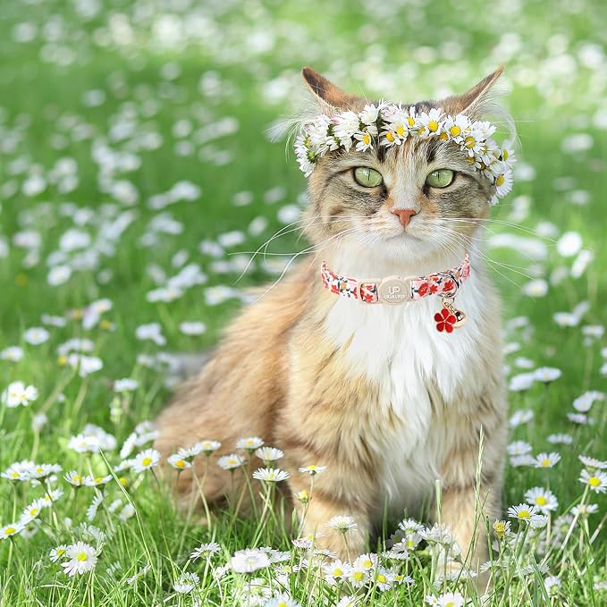 Cat Collar, Pretty Flower Kitten Collars - Image 5