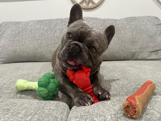 Nylabone Broccoli Power Chew Toy - Image 9