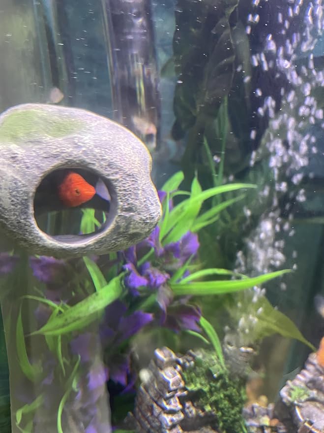 Aquarium Decor Magnetic Rock Cave Ornament – Wall-Mounted Fish Tank Accessory - Image 3