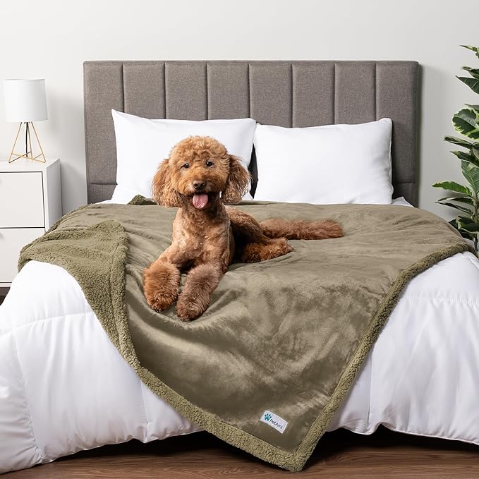 PetAmi Waterproof Dog Blanket for Queen Bed Large XL Dog Throw for Couch Cover by PetAmi