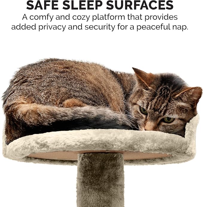 Furhaven 49.5" Tall Cat Tree for Indoor Cats, Ft. Sisal Scratching Posts - Image 6