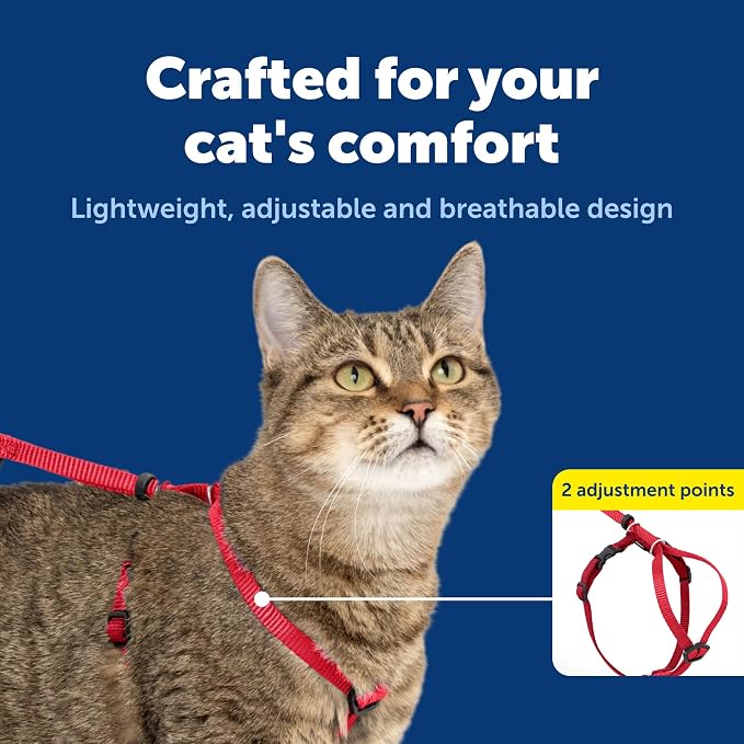 PetSafe Come With Me Kitty Harness and Bungee Leash - Image 4