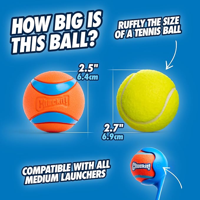 Chuckit! Ultra Ball Dog Toy - Image 2