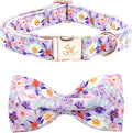 Elegant little tail Dog Collar, Rose Print Pet Collar Summer Dog Collar Durable by Elegantlittletail