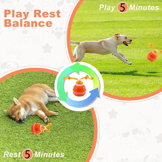 Interactive Dog Toys，Peppy Pet Ball - Image 5