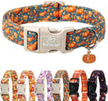 Fall Dog Collar Cute Autumn Pumpkin Puppy Collar by Babolepet