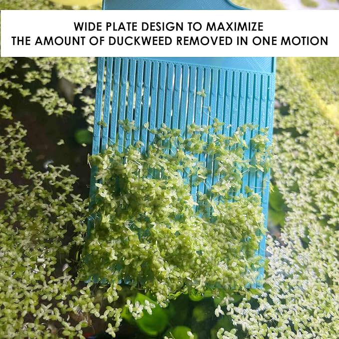 Aquarium Duckweed Removal Tool, 6.5 x 3 inch Floating Plant Comb Spatula - Image 5