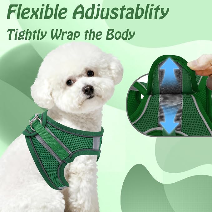 AIITLE No Pull Dog Harness and Leash Set, Step in Adjustable Dog Harness - Image 10