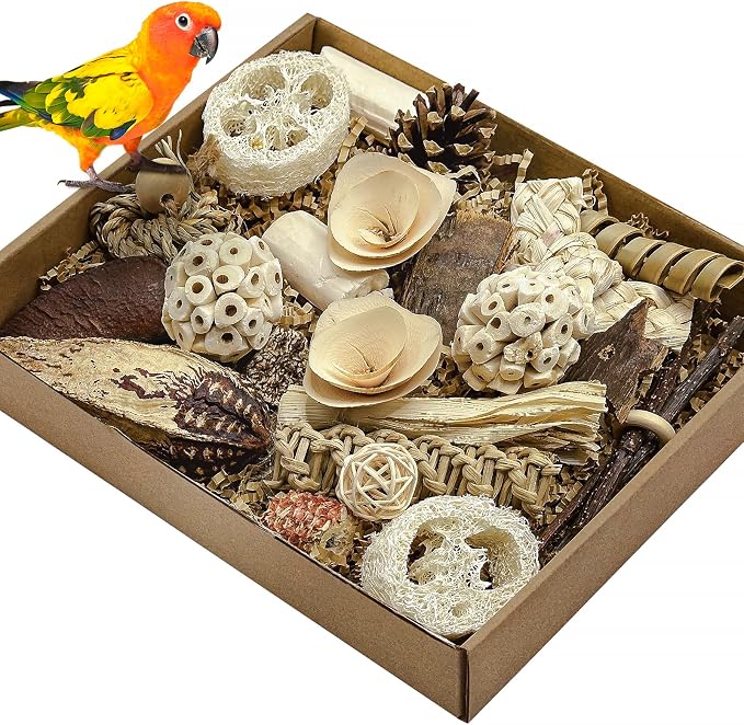 Natural Bird Toy Foraging Parrot Shredding Toys Box Conure Chewing Toys by LOPERDEVE
