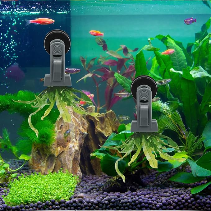 2Pcs Goldfish Feeder, Saltwater Aquarium Accessories Supplies Algae Magnet - Image 5