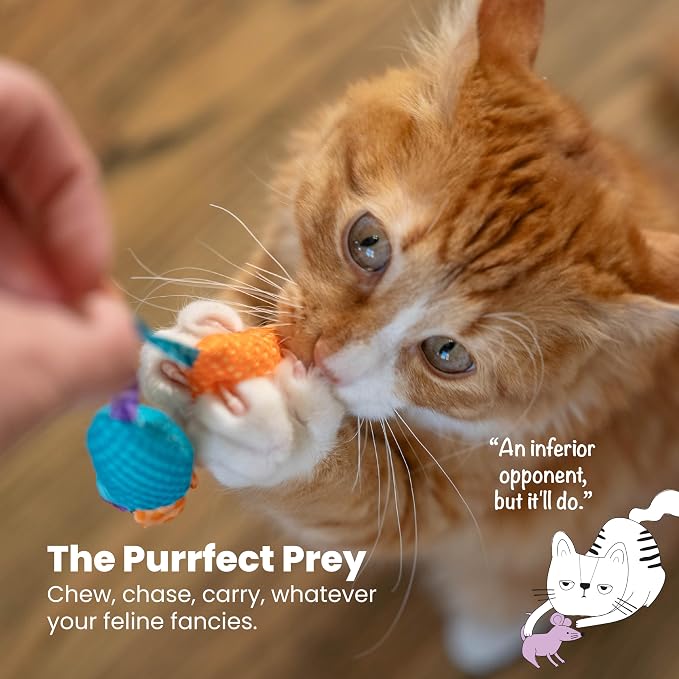 Catstages Catnip Chew Mice 2 Pack– Interactive Dental Cat Chew Toy that Helps - Image 6