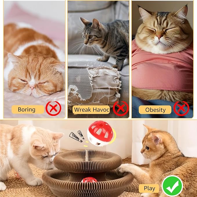Cat Toy, Magic Organ Cat Scratch Board, Compact Cats Accordion Toy, Interactive - Image 3