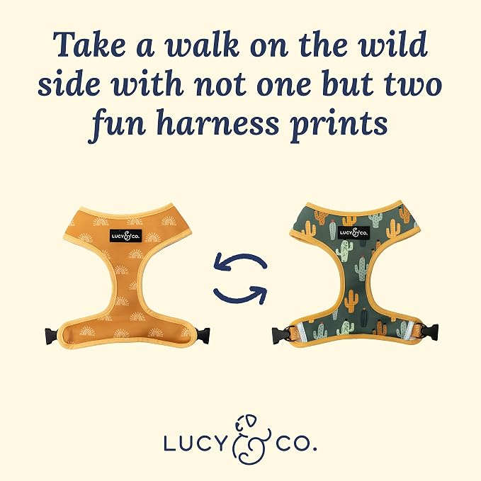 Lucy & Co. Looking Sharp, Cute Reversible Dog Harness Walking Halter - Image 3