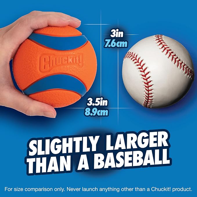 Chuckit! Ultra Ball Dog Toy - Image 4