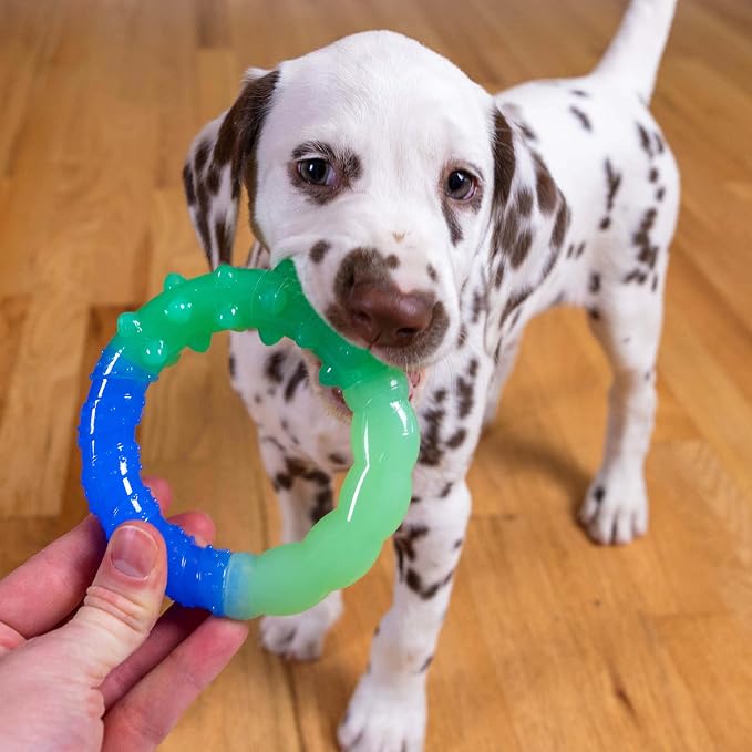 Outward Hound Pupstages Grow-with-Me Ring Dog Chew Toy, Durable Rubber - Image 3