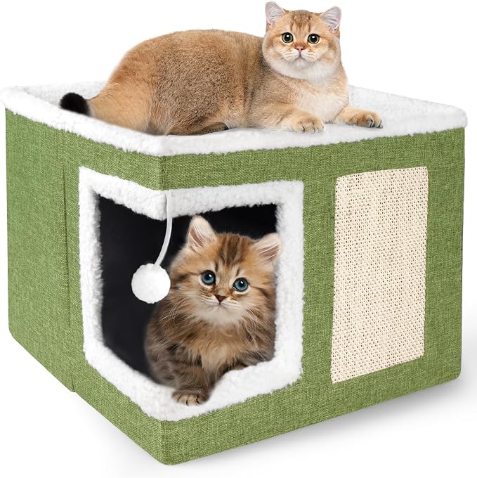 Cat Houses for Indoor Cats by Loyareal