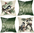 Fahrendom Hello Winter Green Decorative Throw Pillow Covers 20 x 20 Set of 4 by Fahrendom
