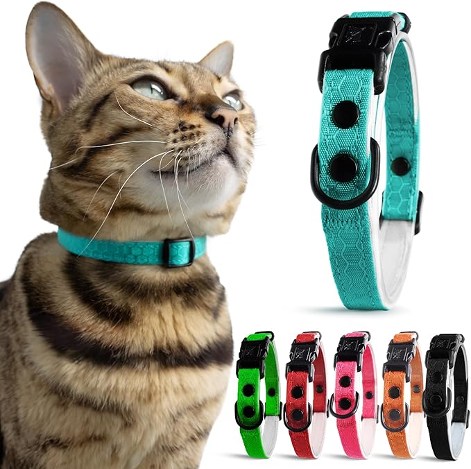 OutdoorBengal Blue Breakaway Kitten Collar by OutdoorBengal