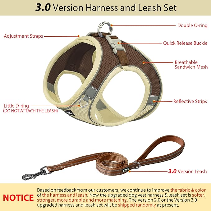 AIITLE Step in Dog Harness and Leash Set - Image 3