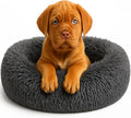 Calming Dog Bed by Shiny-V