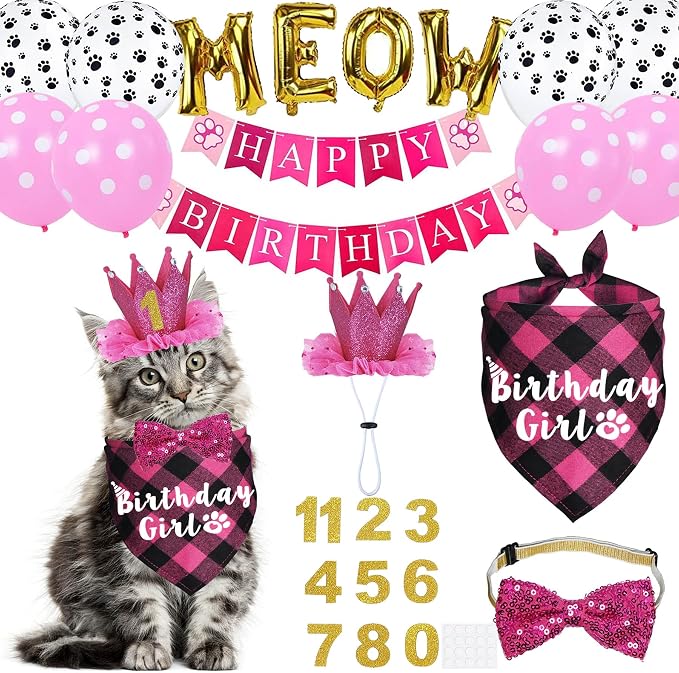 Cat Birthday Party Supplies, Cat Birthday Hat Crown by JOTFA