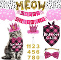 Cat Birthday Party Supplies, Cat Birthday Hat Crown by JOTFA