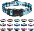 Mercano Adjustable Dog Collar by Unknown