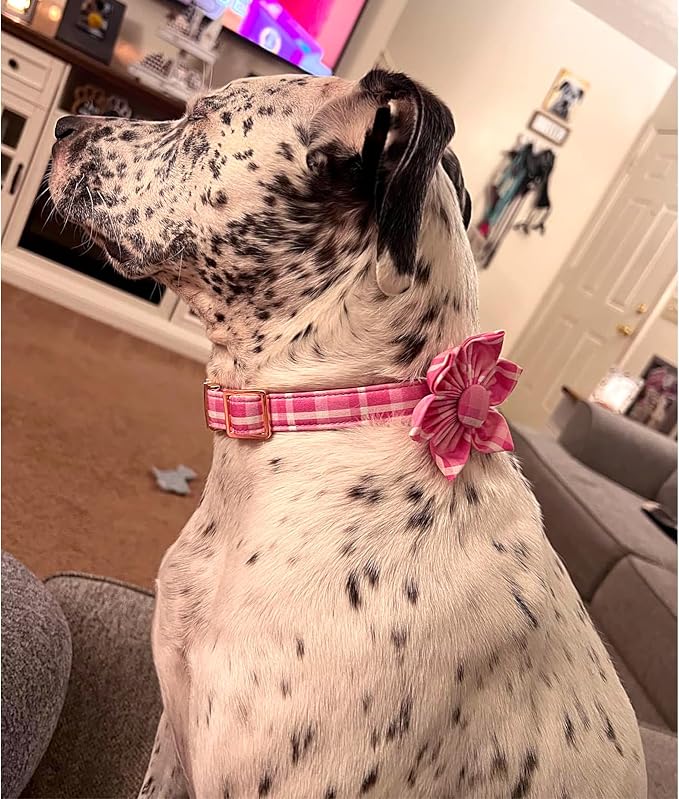 Lionheart Glory Dog Collar, Cute Floral Pattern Pet Collar Adjustable Pet Collar - Image 5