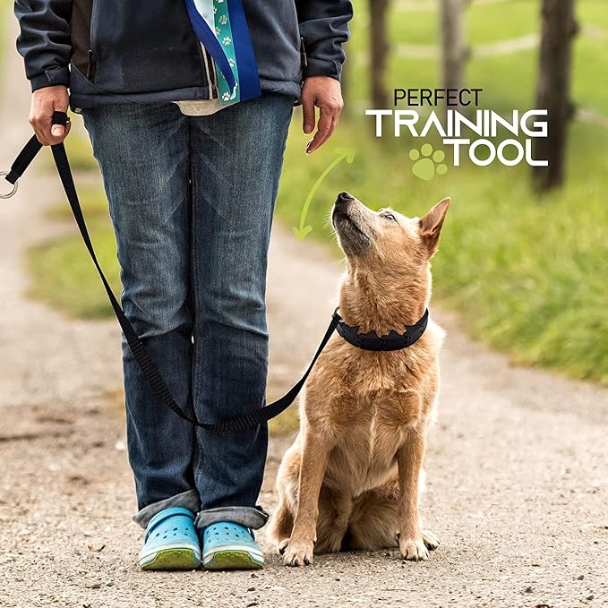Ram-Pro Dog Training Collar Small Pinch Collar - Image 3