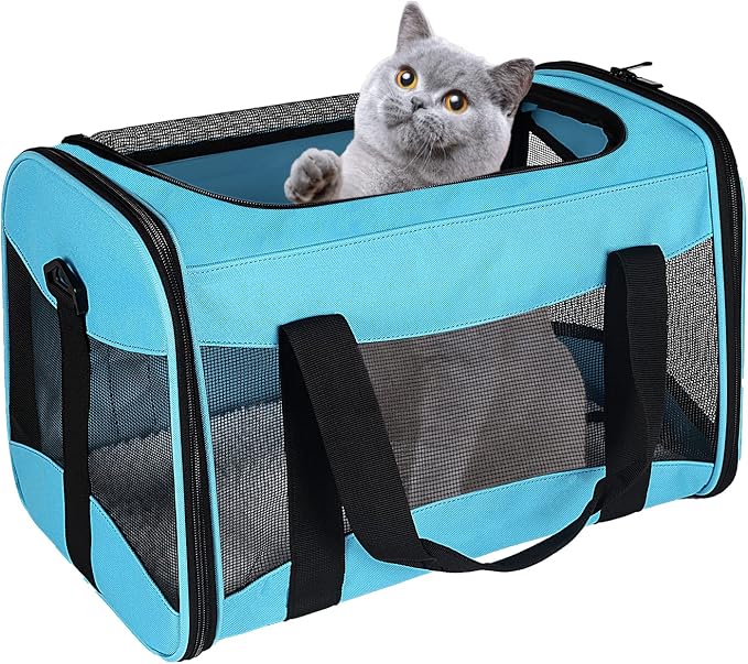 Cat Carrying Case by home