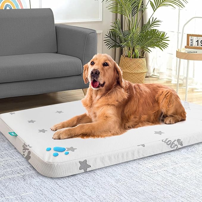 Biloban Waterproof Dog Beds for Dogs, Washable Mat Pad, Memory Foam Dog Beds & by Bilobanbabybedding