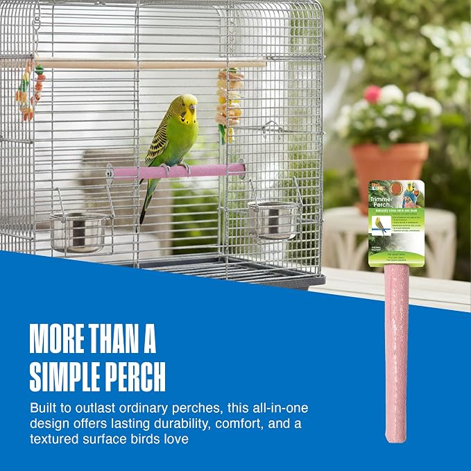 Penn-Plax Bird-Life Cement Trimmer-Perch, Naturally Trims Nails & Beak - Image 6