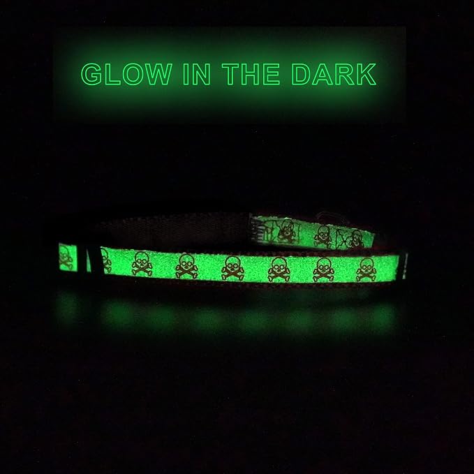 Pawtitas Halloween Cat Collars for Cats Adjustable Collar Glow in The Dark - Image 8