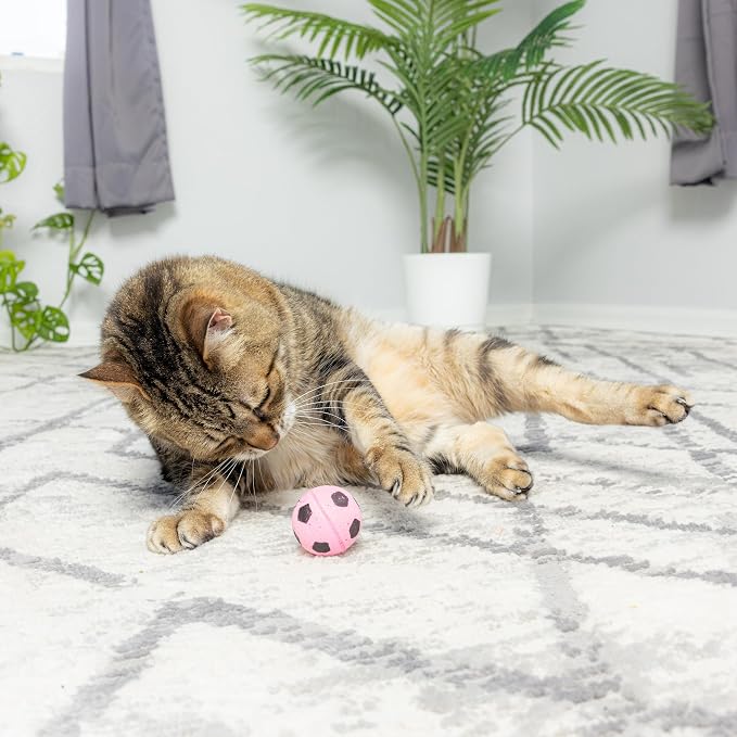SPOT Sponge Soccer Ball Cat Toys - Image 8