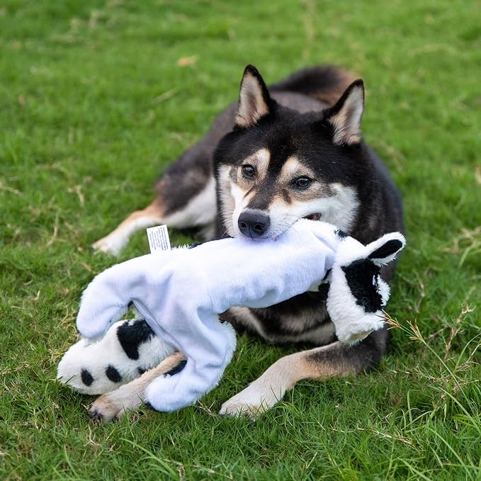 Best Pet Supplies Squeaky Dog Toys - Image 7