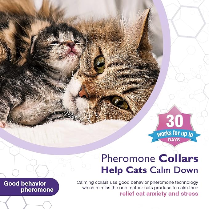 3 Pack Calming Collar Efficient Relieve Reduce Anxiety Stress Pheromones Calm - Image 2