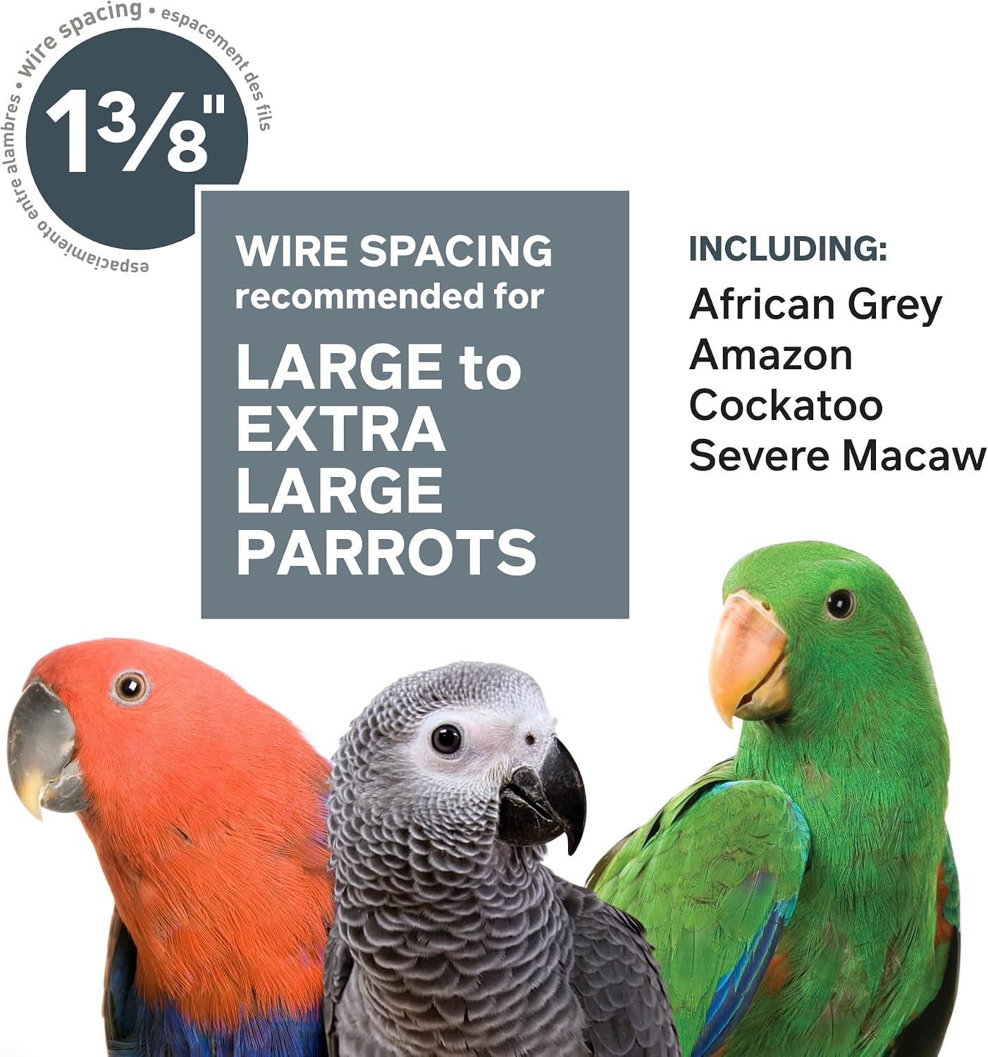 Prevue Pet Products Empire Bird Cage, 46" L x 36" W x 78 1/4" H - GlobalHabitat Supply
