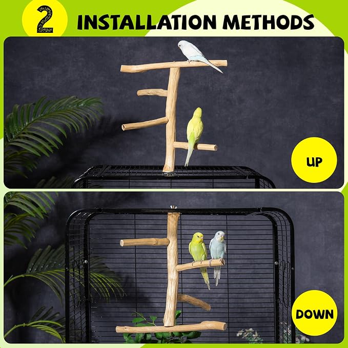 Natural Wood Bird Perch & Play Stand - Image 4