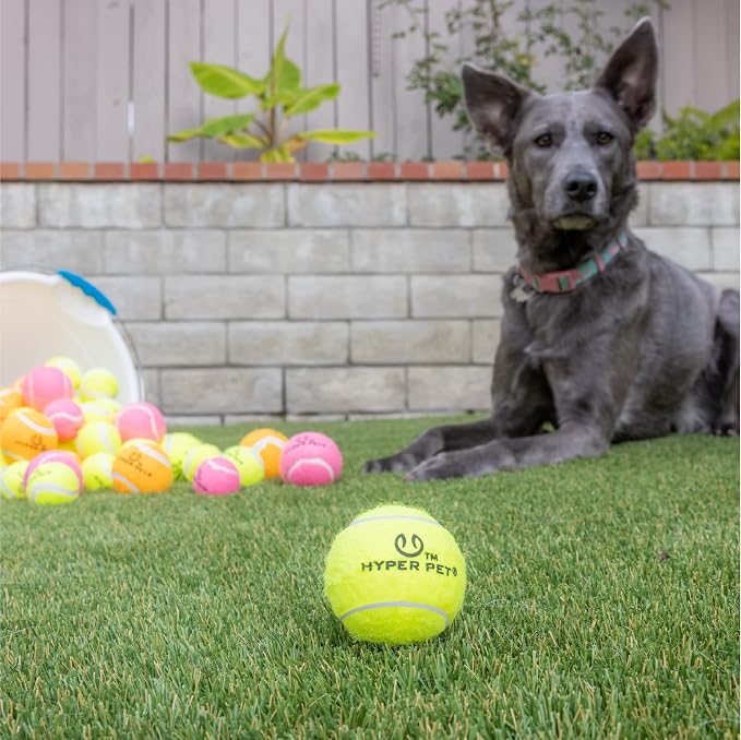 Hyper Pet Tennis Balls for Dogs, Pet Safe Dog Toys for Exercise and Training - Image 4