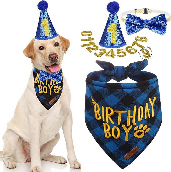EXPAWLORER Dog Birthday Party Supplies by EXPAWLORER