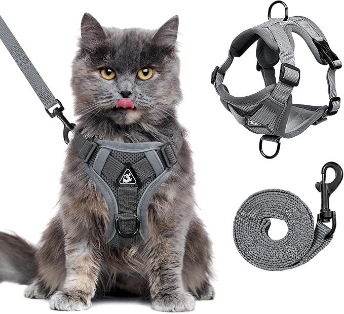 Large Cat Harness and Leash Set by GCVOPTON