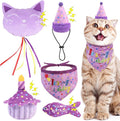 BINGPET Cat Birthday Catnip Toys by BINGPET