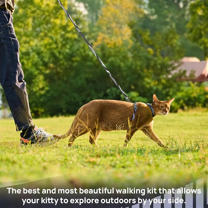 Cat Harness and Leash Set - Image 2