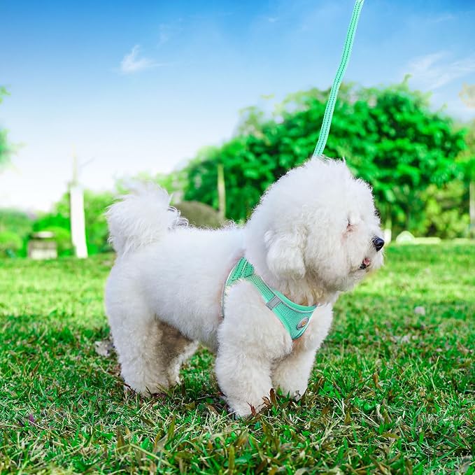 Hipubby Dog Harness and Leash Set, No Pull Soft Mesh Puppy Harness - Image 5