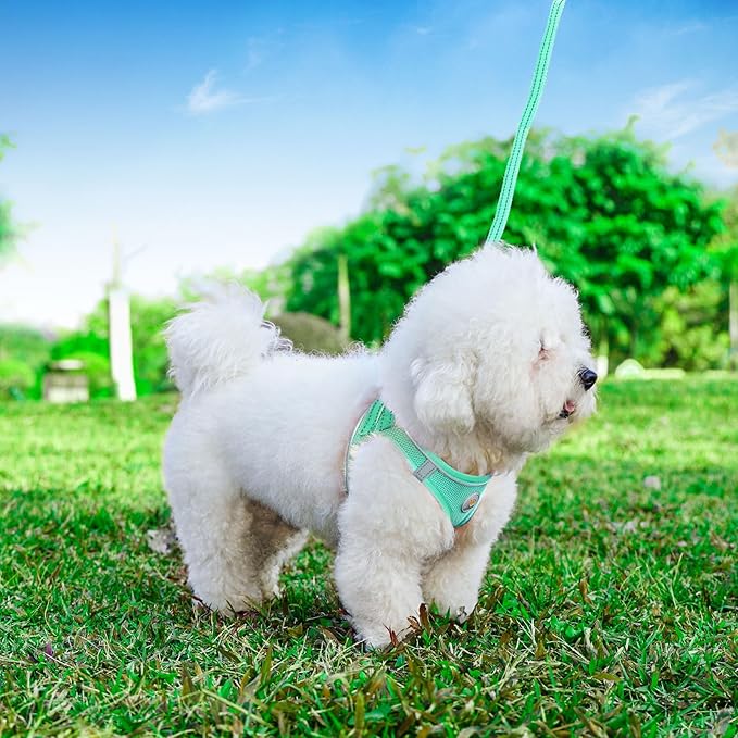 Hipubby Dog Harness and Leash Set, No Pull Soft Mesh Puppy Harness - Image 5